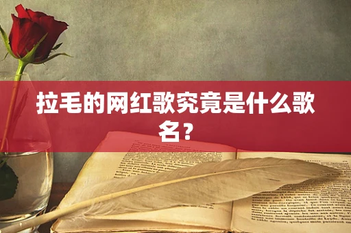 拉毛的网红歌究竟是什么歌名？