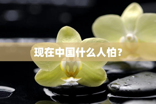 现在中国什么人怕？