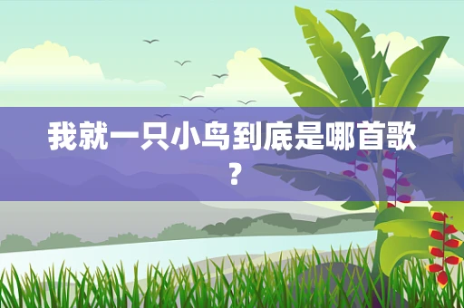 我就一只小鸟到底是哪首歌？