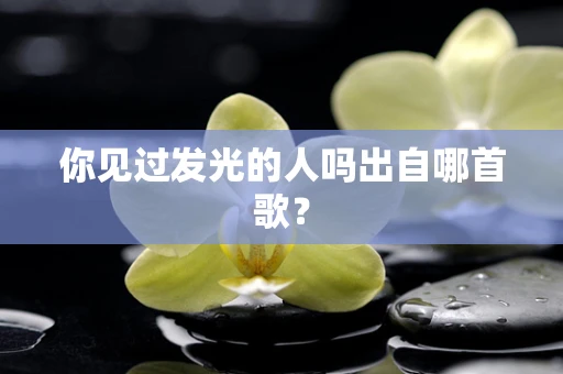你见过发光的人吗出自哪首歌？