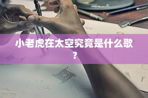 小老虎在太空究竟是什么歌？