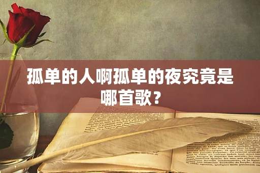 孤单的人啊孤单的夜究竟是哪首歌？