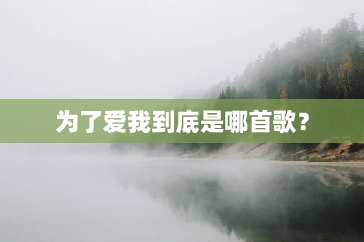 为了爱我到底是哪首歌？