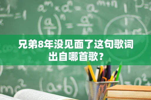 兄弟8年没见面了这句歌词出自哪首歌？