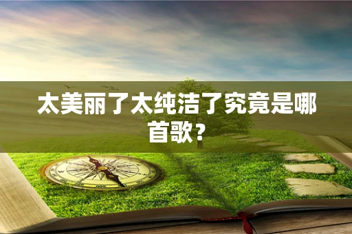 太美丽了太纯洁了究竟是哪首歌？