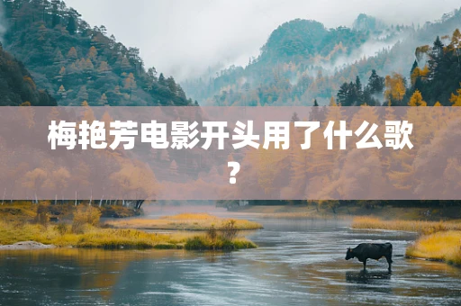 梅艳芳电影开头用了什么歌？