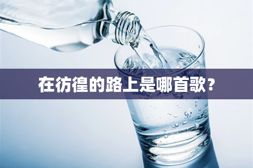 在彷徨的路上是哪首歌？