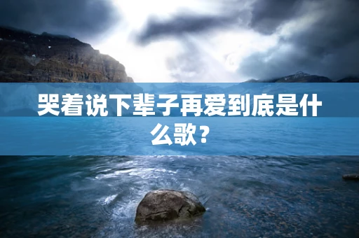 哭着说下辈子再爱到底是什么歌？