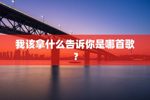 我该拿什么告诉你是哪首歌？
