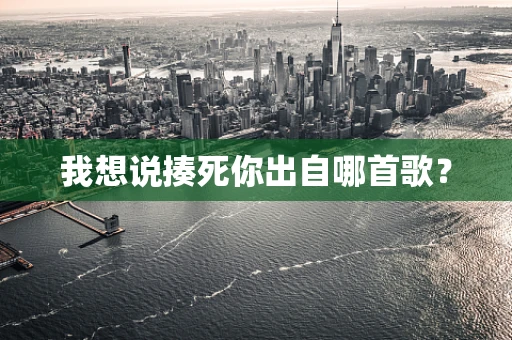 我想说揍死你出自哪首歌？