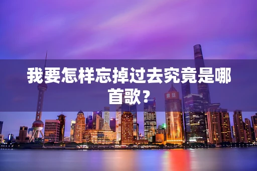 我要怎样忘掉过去究竟是哪首歌？