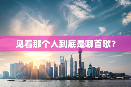 见着那个人到底是哪首歌？