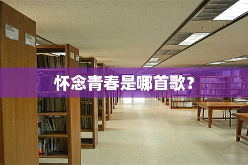 怀念青春是哪首歌？