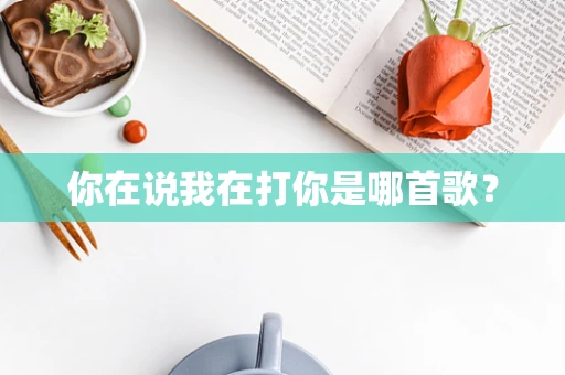 你在说我在打你是哪首歌？