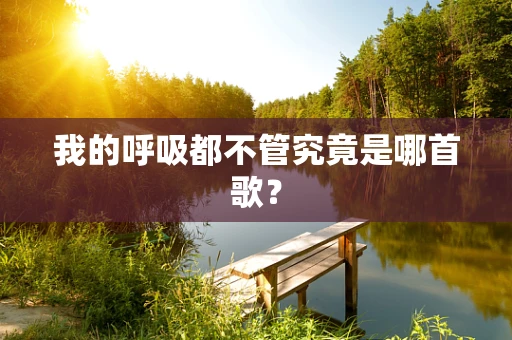 我的呼吸都不管究竟是哪首歌？