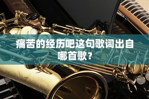 痛苦的经历吧这句歌词出自哪首歌？