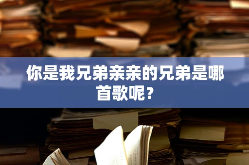 你是我兄弟亲亲的兄弟是哪首歌呢？