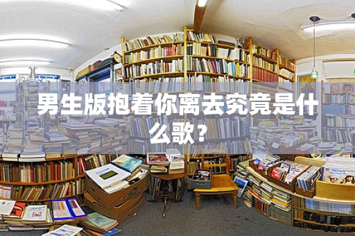 男生版抱着你离去究竟是什么歌？