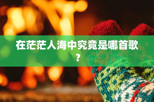 在茫茫人海中究竟是哪首歌？