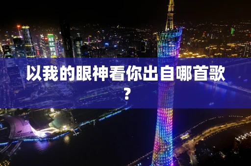 以我的眼神看你出自哪首歌？