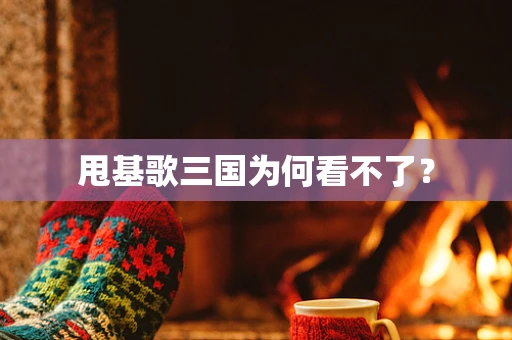 甩基歌三国为何看不了？