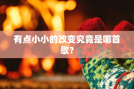 有点小小的改变究竟是哪首歌？