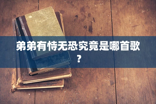 弟弟有恃无恐究竟是哪首歌？