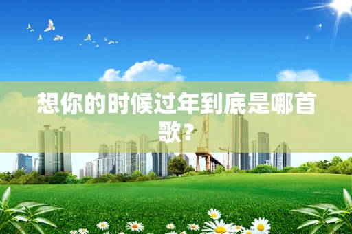 想你的时候过年到底是哪首歌？