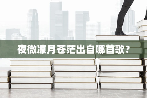 夜微凉月苍茫出自哪首歌？