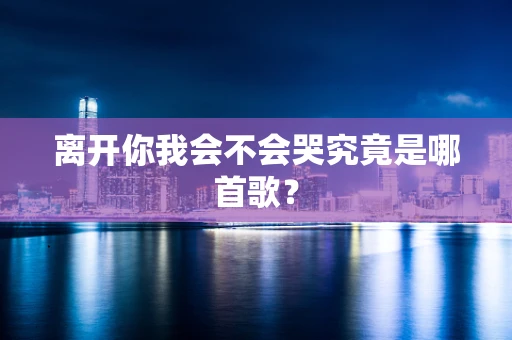 离开你我会不会哭究竟是哪首歌？