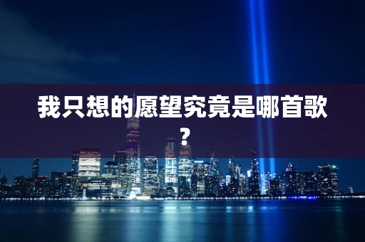 我只想的愿望究竟是哪首歌？