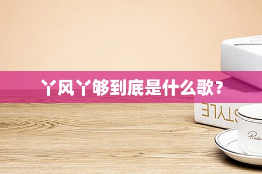 丫风丫够到底是什么歌？