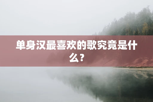 单身汉最喜欢的歌究竟是什么？