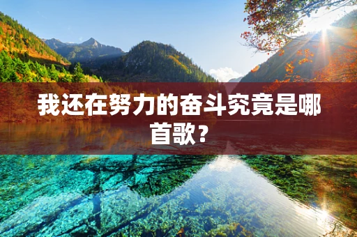 我还在努力的奋斗究竟是哪首歌？