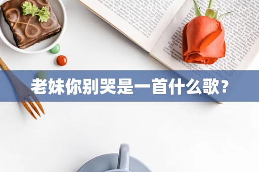 老妹你别哭是一首什么歌？