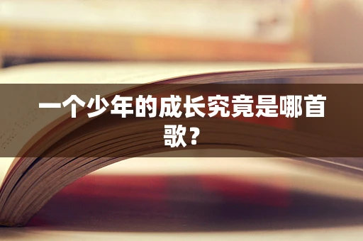 一个少年的成长究竟是哪首歌？
