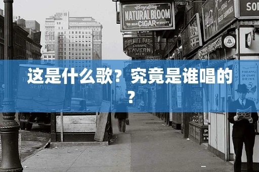 这是什么歌？究竟是谁唱的？