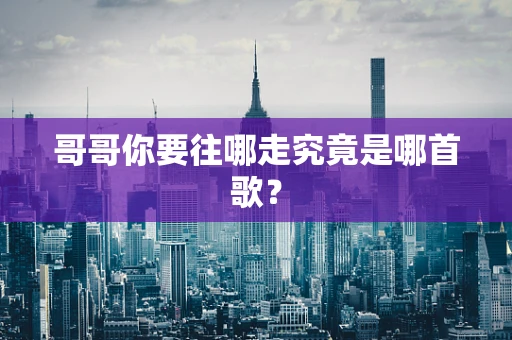 哥哥你要往哪走究竟是哪首歌？