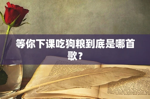 等你下课吃狗粮到底是哪首歌？