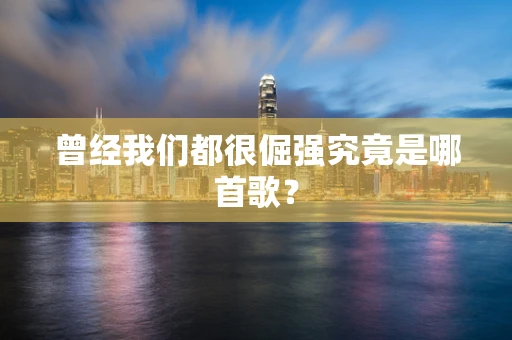 曾经我们都很倔强究竟是哪首歌？