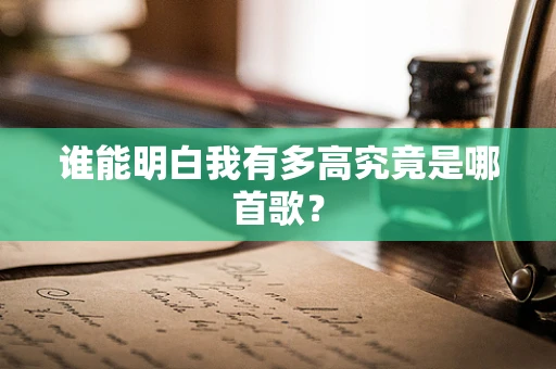 谁能明白我有多高究竟是哪首歌？
