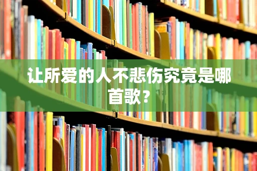 让所爱的人不悲伤究竟是哪首歌？