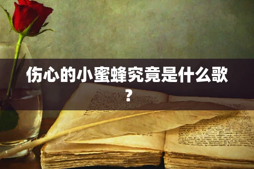 伤心的小蜜蜂究竟是什么歌？