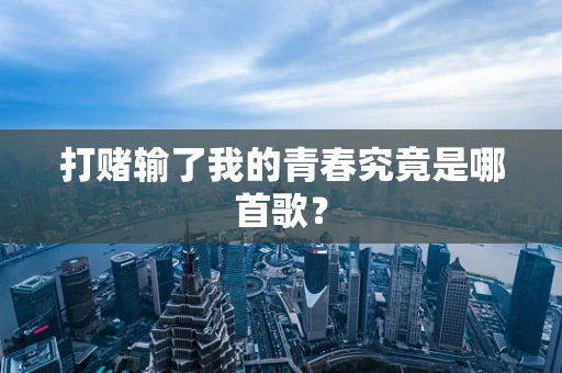 打赌输了我的青春究竟是哪首歌？