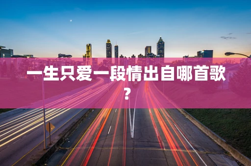 一生只爱一段情出自哪首歌？