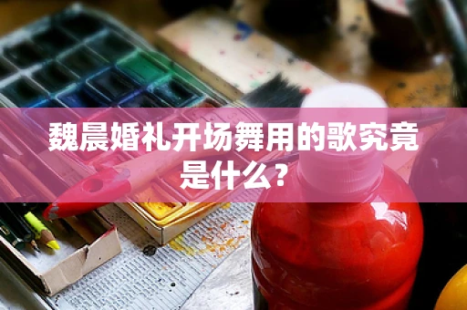 魏晨婚礼开场舞用的歌究竟是什么？