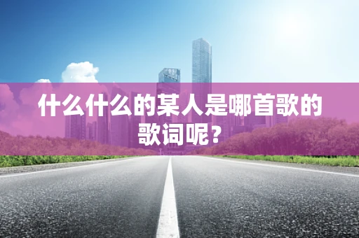 什么什么的某人是哪首歌的歌词呢？