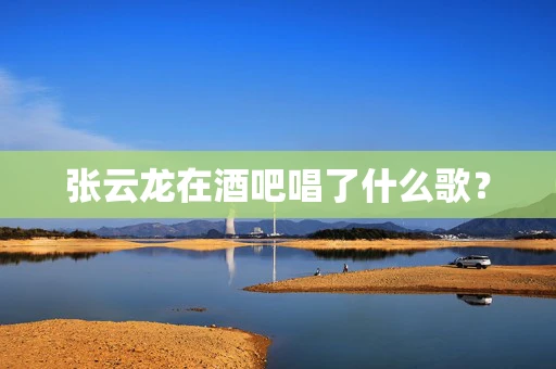 张云龙在酒吧唱了什么歌？