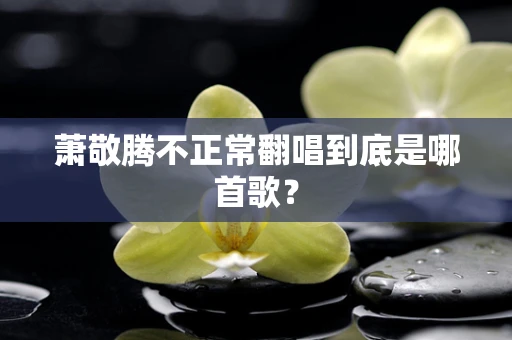 萧敬腾不正常翻唱到底是哪首歌？