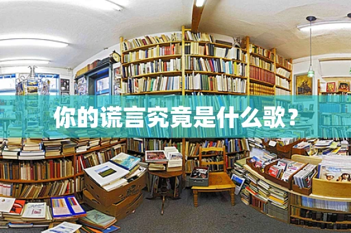你的谎言究竟是什么歌？